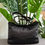 Thumbnail: Versace Medusa Nylon Hobo Crossbody Bag