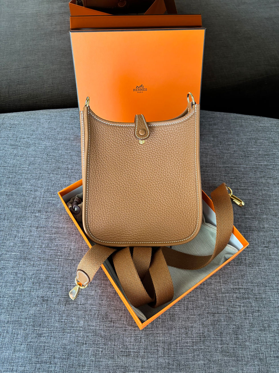 Thumbnail: Hermes Evelyne Mini TPM