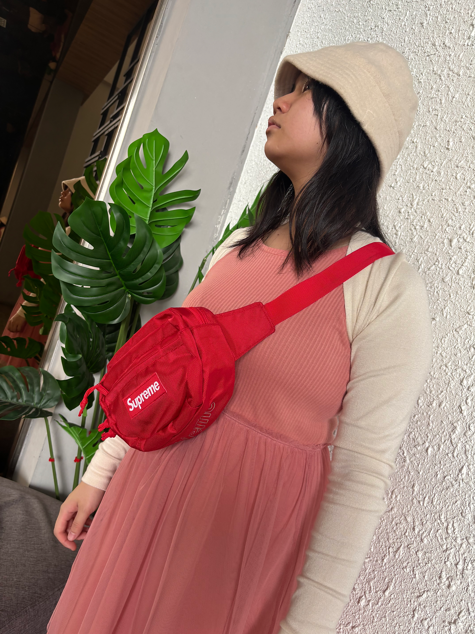 Thumbnail: Supreme Belt Bag