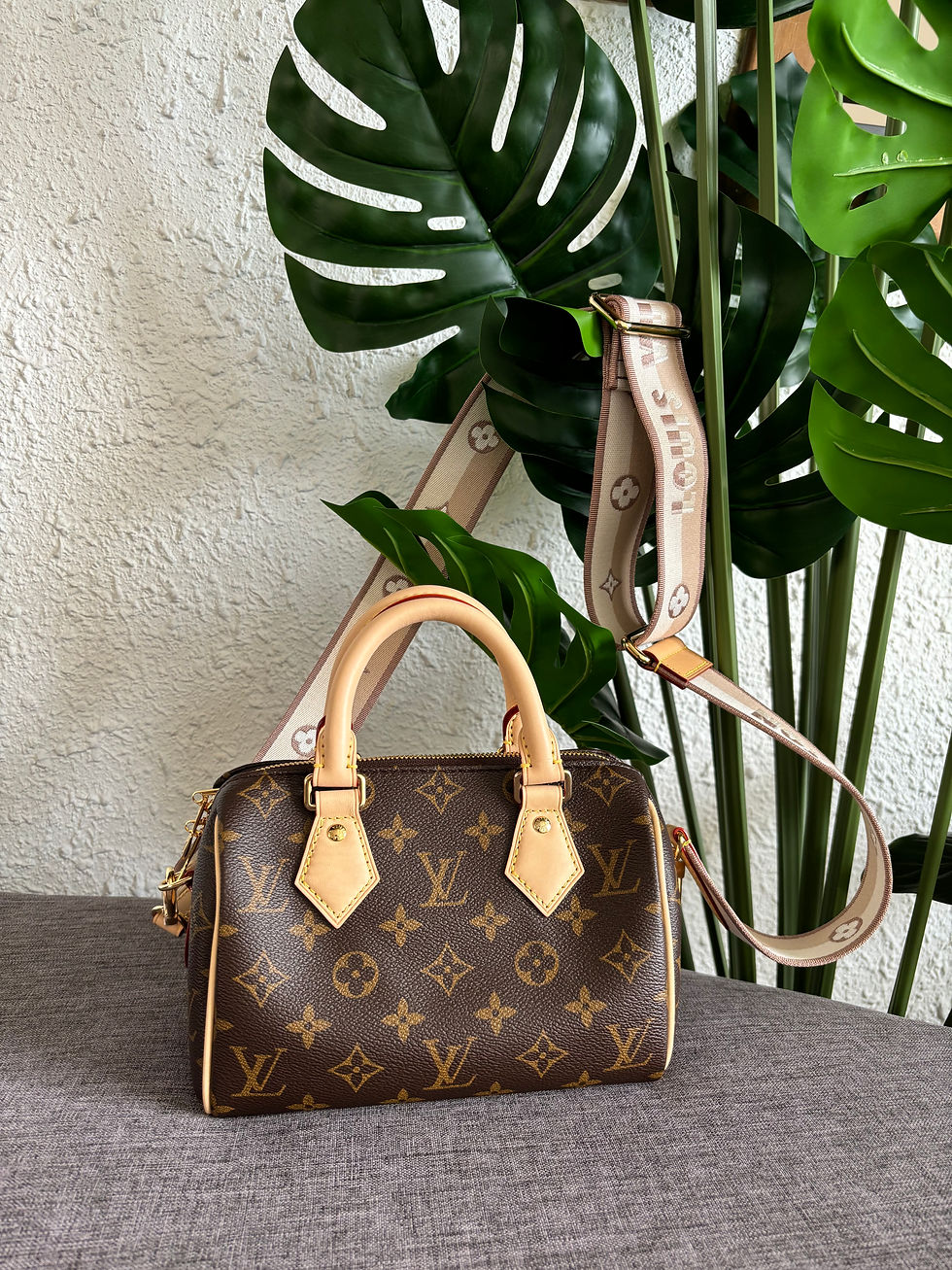 LV M46222 Speedy Bandoulière 20