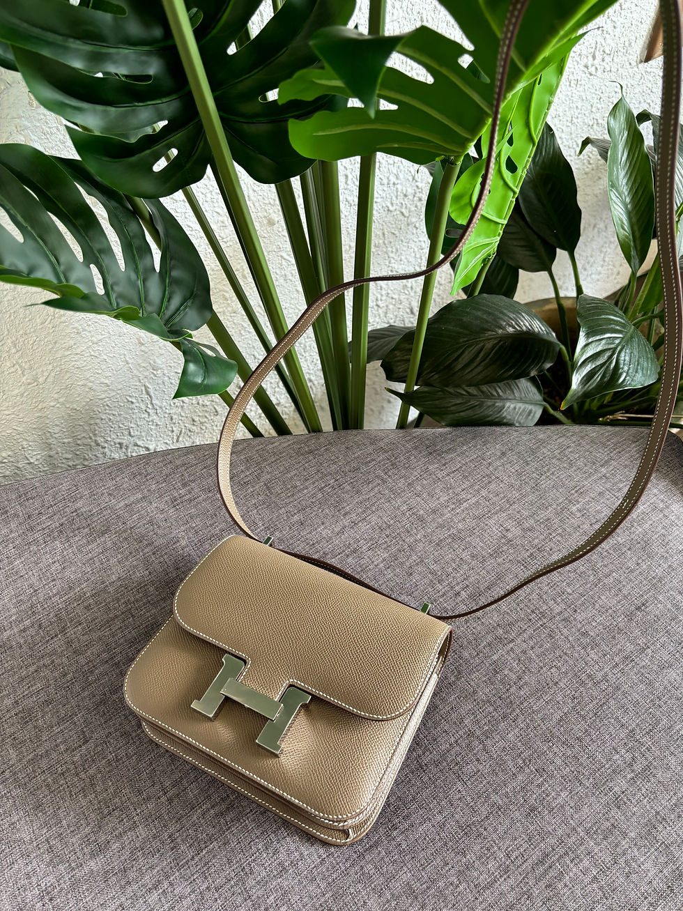 Thumbnail: Hermes Constance III Mini