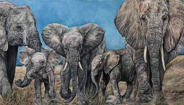 Elephant Parade | Colorpencil