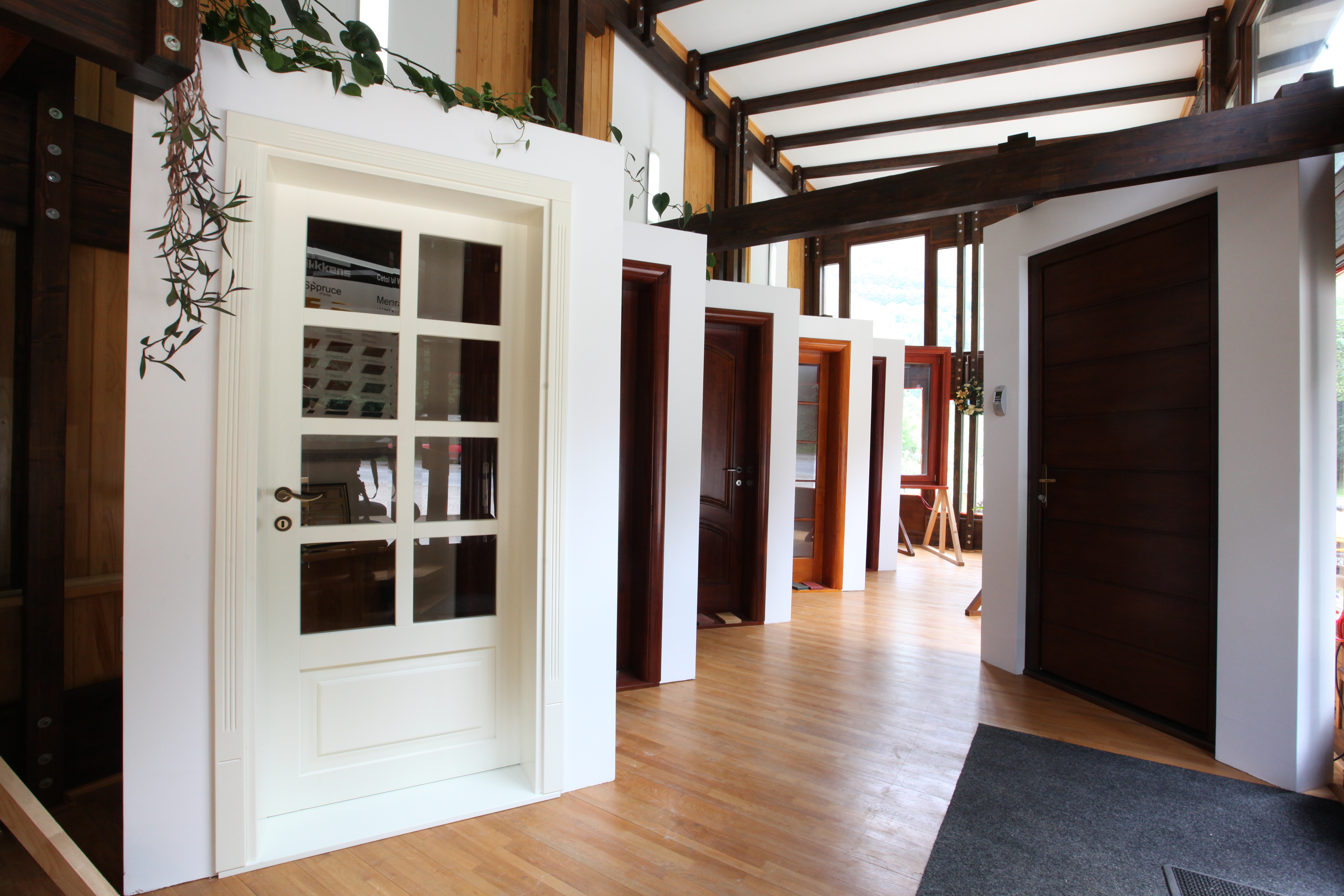 Usi interior