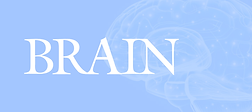 Brain
