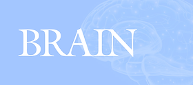 Brain