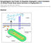 Caitlin's paper is now a featured article at ATVB!