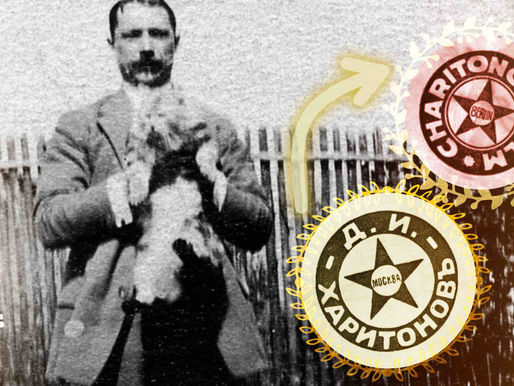 Южанин в кино | Дмитрий Харитонов, кинобиография