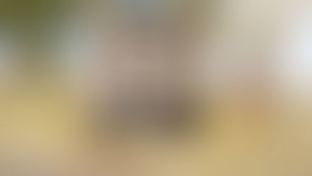 Король нуара | Борис Ингстер, кинобиография