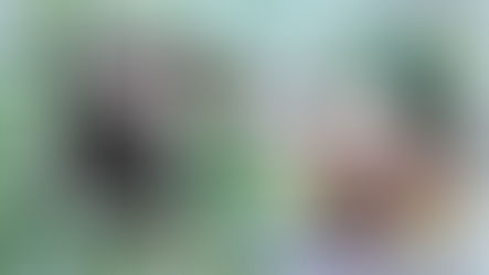 Сыграть американку | Вера Орлова, кинобиография