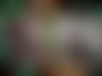 На семейном подряде | Сэмюэл Спивак, кинобиография