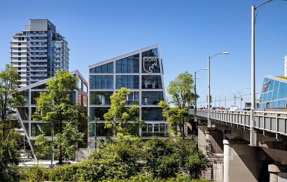 加西大学校园
