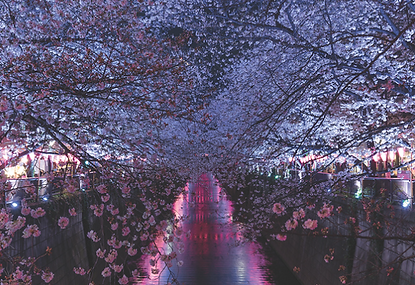 Screenshot 2025-09-04 142233.png