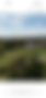 Screenshot-7.png