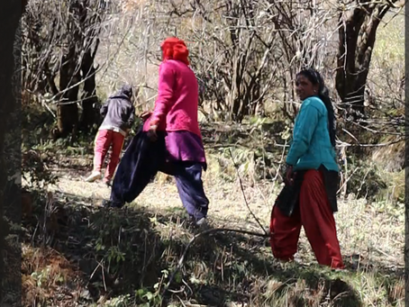 Material Innovation from Himalaya