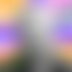 Billy Bragg with The Skylark