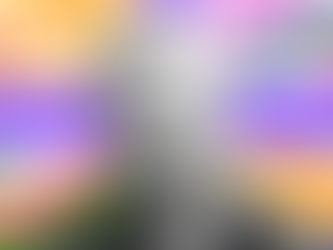 Billy Bragg with The Skylark