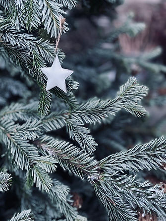 adventskranzworkshop.jpeg