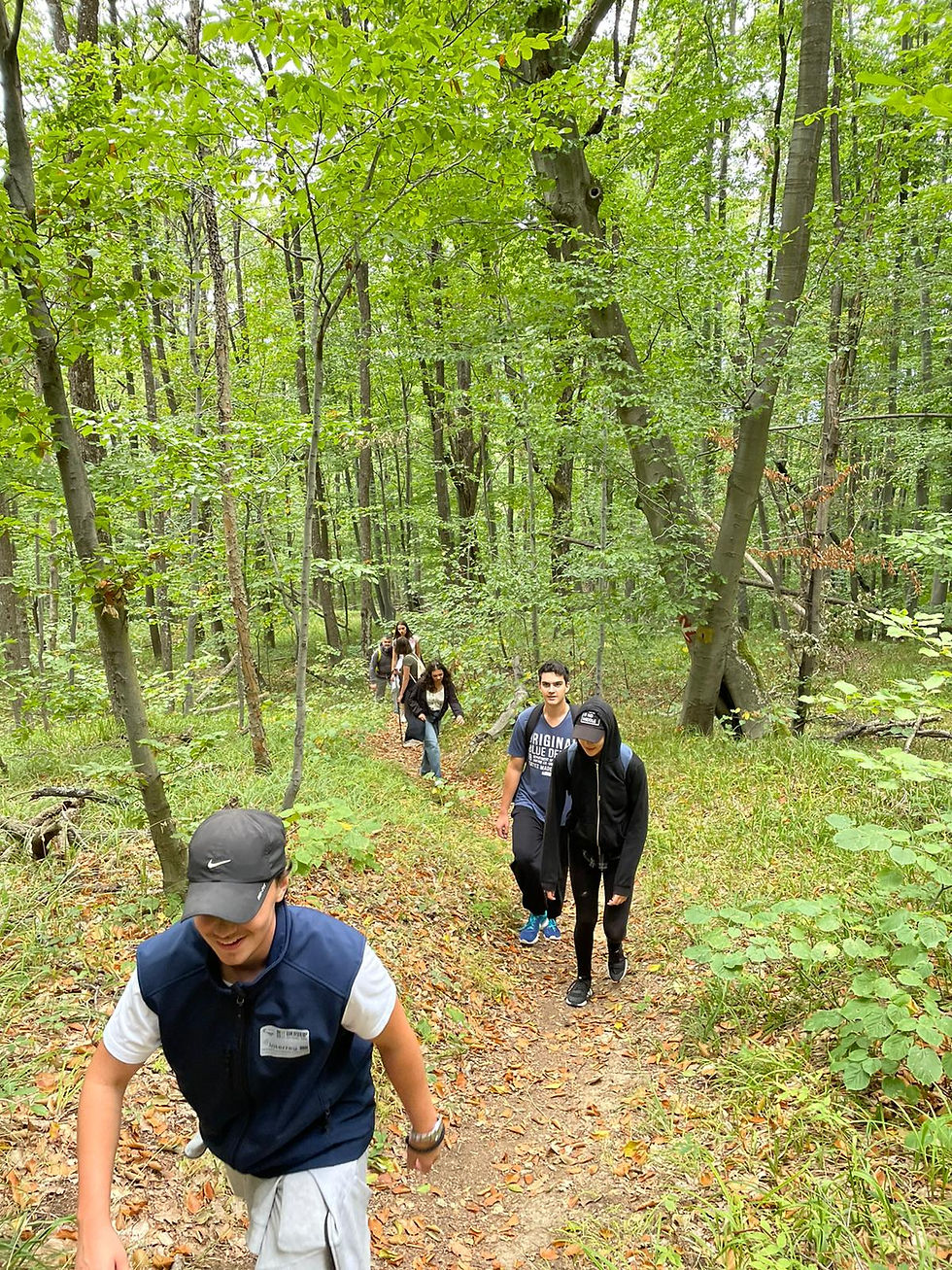 Teambuilding