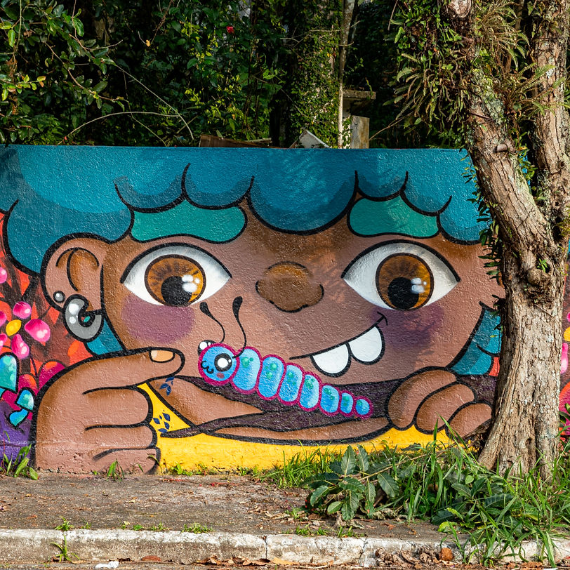 pintura-artistica-fachada-comercial-atelie-naturaleza-abc-paulista-maua-santo-andre 3