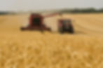 Kornfeld Riebensahm Agribusiness Recruiting