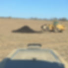 cocoa compost