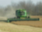 Soybean harvest 2010