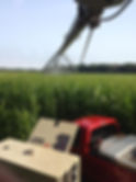 irrigation 15