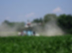 HHI flying on fungicide 2012