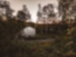 images (6).jpeg