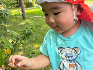 夏ならではの遊びを楽しんでいます♪