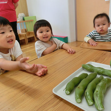 そら豆の皮むき