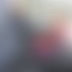 お散歩