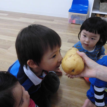 「はらぺこあおむし」