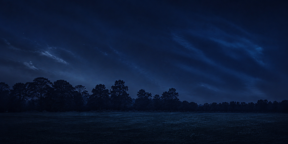 093A8876-0F04-4E68-A122-E52FF6C04977.png