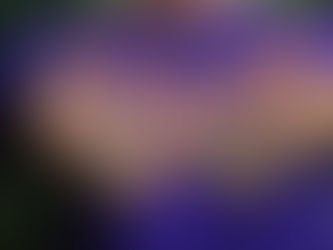 La magia de las palabras