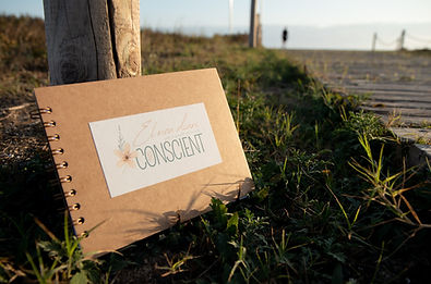 diario consciente