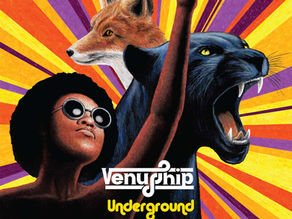 Venus Chip - Underground Foxes