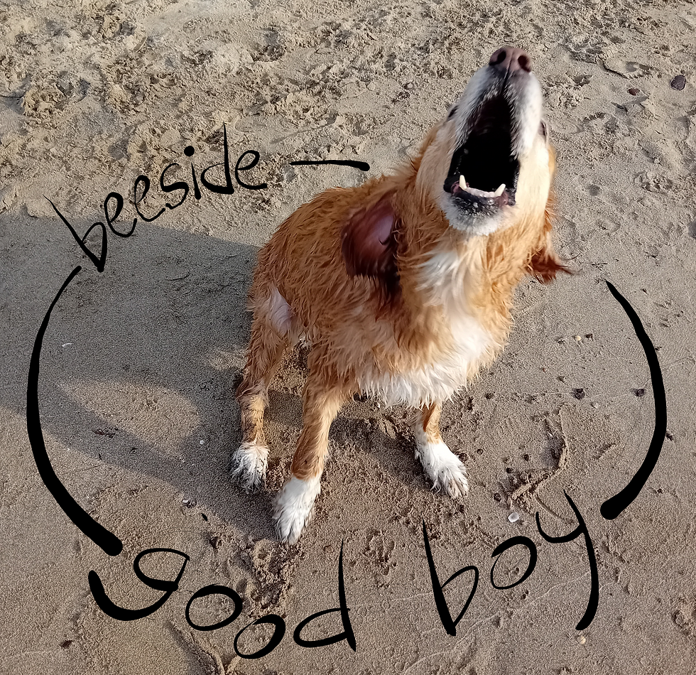 Beeside - Good boy