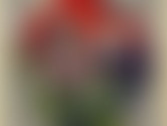 Tia Palomba and the Lazy Folks