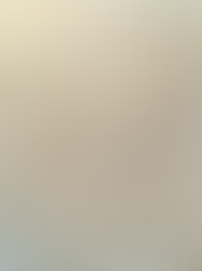 ALIGN YOUR MIND, BODY, AND SPIRIT