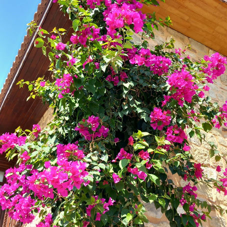 Side, Turkey- City of the Myths