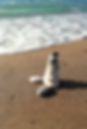 Finding balance is very important.jpg