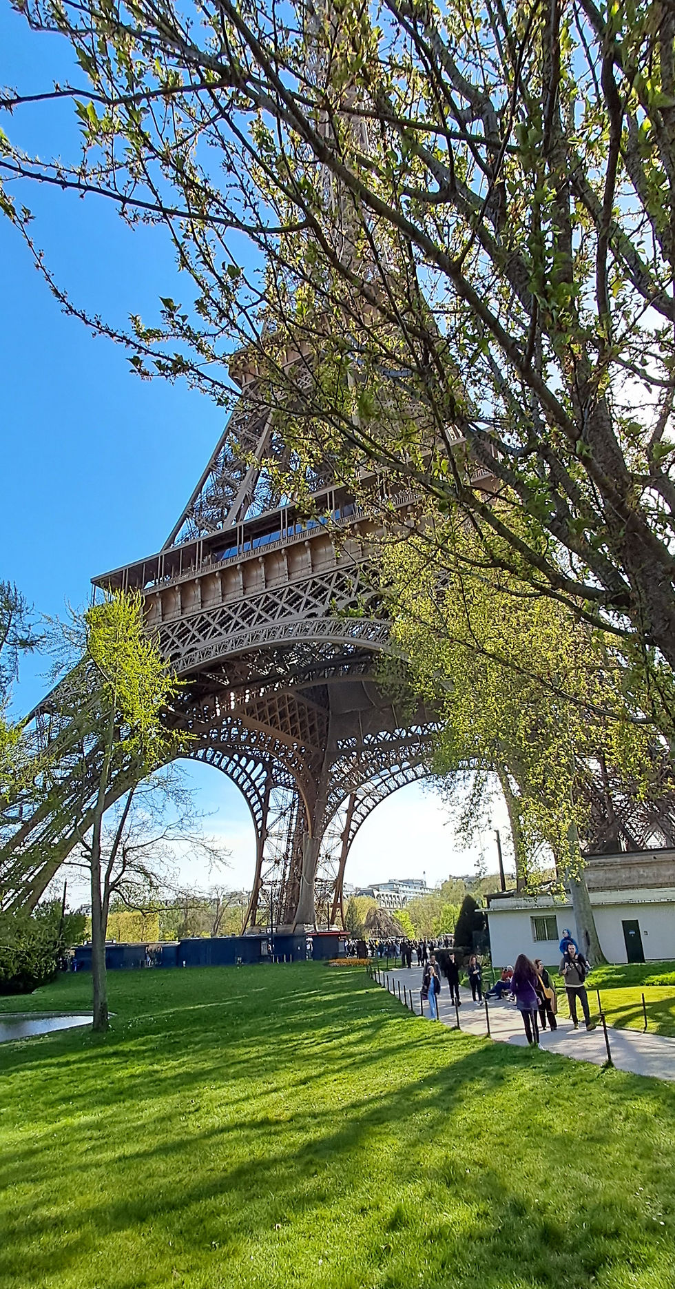 The Eiffel Tower