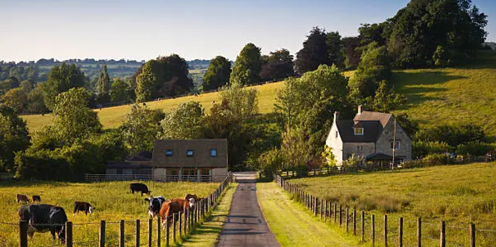 From Sunshine to Southern Charm: What to Expect When You Move from California to Tennessee