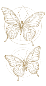 soft gold transparent butterflies_edited.png