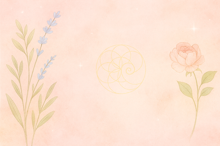 Shop the Collection Background.png