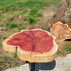 Eastern Red Cedar Coffee Tables