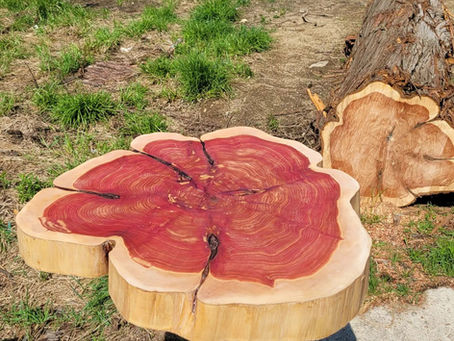 Eastern Aromatic Red Cedar: A Vibrant Wood for Woodworking Projects in Massachusetts