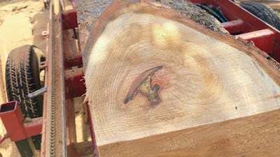 Winwood Sawmill logo