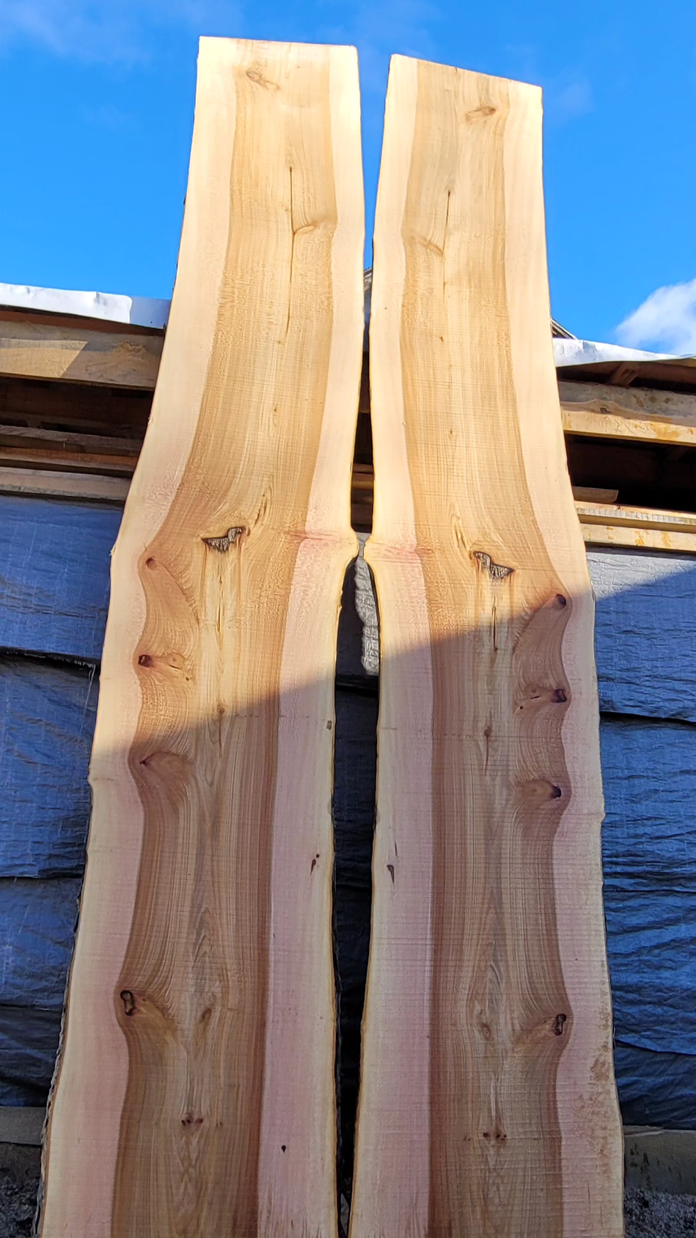 IMG_20240101_115837_638